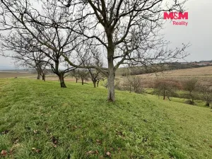 Prodej zahrady, Bezuchov, 901 m2