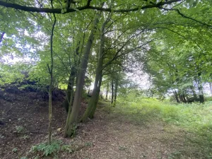 Prodej pozemku, Olbramice, 708 m2
