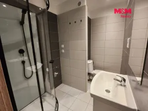 Prodej bytu 1+1, Louny, Slovenského národního povstání, 41 m2