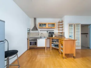 Prodej bytu 2+kk, České Budějovice - České Budějovice 3, Riegrova, 46 m2