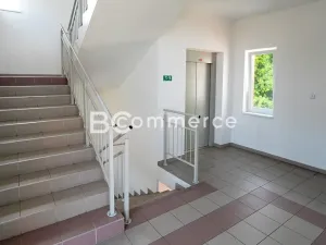 Pronájem kanceláře, Brno, 90 m2