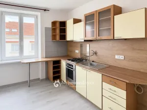 Pronájem bytu 1+1, Znojmo, Loucká, 40 m2