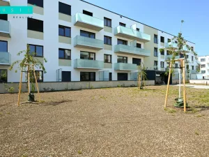 Pronájem bytu 2+kk, Olomouc - Nová Ulice, Třída Jiřího Pelikána, 44 m2