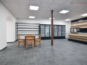 Prodej rodinného domu, Olomouc - Holice, Keplerova, 480 m2