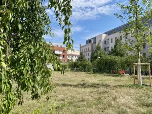 Pronájem bytu 2+kk, Mladá Boleslav - Mladá Boleslav III, Jičínská, 52 m2