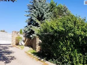 Prodej rodinného domu, Hodonín, Plucárna, 303 m2