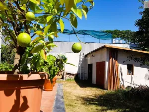 Prodej rodinného domu, Hodonín, Plucárna, 303 m2