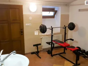 Prodej rodinného domu, Hodonín, Plucárna, 303 m2