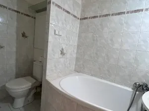 Pronájem bytu 1+1, Ostrava, Krasnoarmejců, 35 m2