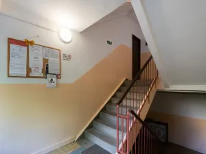Prodej bytu 3+kk, Meziboří, J. A. Komenského, 50 m2