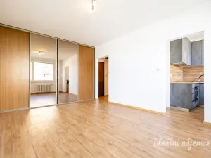 Pronájem bytu 1+kk, Praha - Chodov, Ledvinova, 29 m2