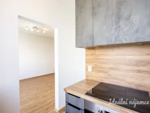 Pronájem bytu 1+kk, Praha - Chodov, Ledvinova, 29 m2