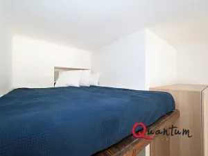 Pronájem bytu 1+kk, Praha - Žižkov, Cimburkova, 20 m2
