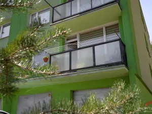Prodej bytu 2+1, Děčín - Děčín VI-Letná, Lovosická, 50 m2
