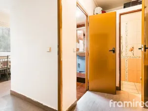 Prodej bytu 2+1, Brno, Renneská třída, 58 m2