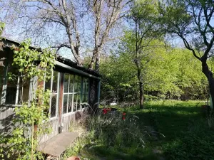 Prodej zahrady, Brno, Kolejní, 400 m2