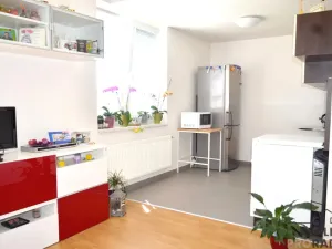 Pronájem bytu 1+kk, Brno, U Leskavy, 33 m2