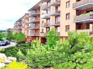 Pronájem bytu 1+kk, Brno, U Leskavy, 33 m2