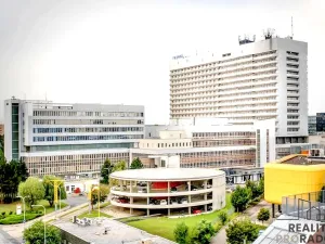 Pronájem bytu 1+kk, Brno, U Leskavy, 33 m2