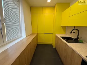 Pronájem bytu 3+1, Litvínov - Horní Litvínov, Vinohradská, 63 m2