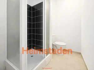 Pronájem bytu 2+kk, Ostrava - Poruba, Opavská, 42 m2