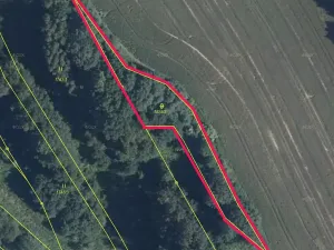 Prodej lesa, Dubnice, 1219 m2