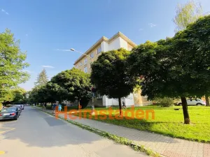 Pronájem bytu 3+1, Ostrava - Poruba, Čkalovova, 87 m2