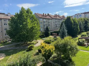 Prodej bytu 1+1, Brno, Dobrovského, 40 m2