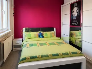 Prodej bytu 2+1, Vsetín, Bratří Hlaviců, 43 m2