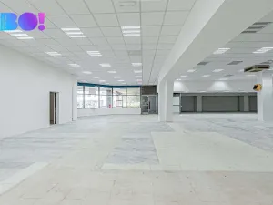 Pronájem skladu, Opava, Ratibořská, 390 m2