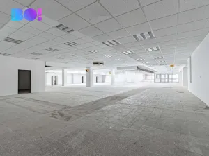 Pronájem skladu, Opava, Ratibořská, 390 m2