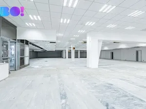 Pronájem skladu, Opava, Ratibořská, 390 m2