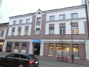 Pronájem bytu 1+kk, Pardubice - Zelené Předměstí, Smilova, 20 m2