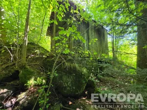 Prodej pozemku pro bydlení, Desná, okres jablonec nad nisou, Výletní, 6703 m2