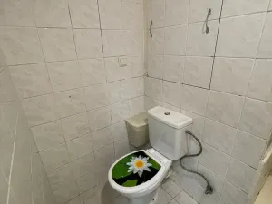 Pronájem bytu 2+1, Jirkov, Ervěnická, 51 m2