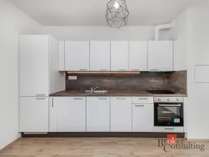Pronájem bytu 1+kk, Plzeň - Jižní Předměstí, Železná, 28 m2