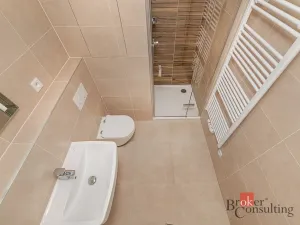 Pronájem bytu 1+kk, Plzeň - Jižní Předměstí, Železná, 28 m2