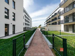 Pronájem bytu 1+kk, Plzeň - Jižní Předměstí, Železná, 28 m2