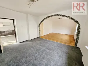 Pronájem obchodního prostoru, Plzeň, Mezi Ploty, 160 m2