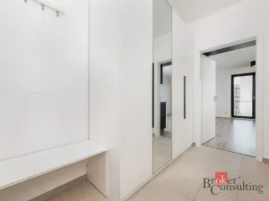 Pronájem bytu 1+kk, Plzeň - Jižní Předměstí, Železná, 38 m2