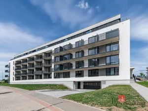 Pronájem bytu 1+kk, Plzeň - Jižní Předměstí, Železná, 38 m2