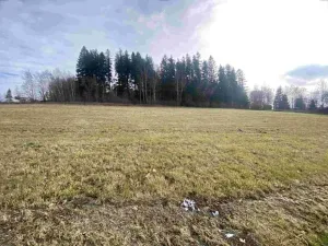 Dražba louky, Černá v Pošumaví, 3624 m2
