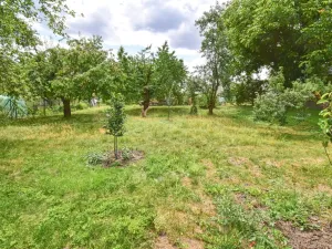Prodej rodinného domu, Třemošná, Nové sídliště, 55 m2