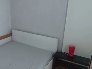 Pronájem bytu 2+kk, Ostrava, Zeyerova, 35 m2