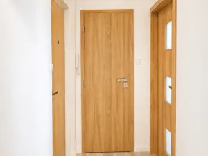 Prodej bytu 1+1, Teplice - Trnovany, Jana Koziny, 42 m2