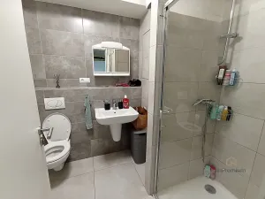 Pronájem bytu 1+kk, Plzeň - Bolevec, Studentská, 28 m2