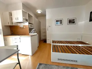 Pronájem bytu 1+kk, Brno, Eleonory Voračické, 25 m2