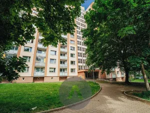 Prodej bytu 1+1, Brno, Horácké náměstí, 45 m2