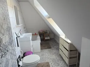 Prodej vícegeneračního domu, Suchdol nad Lužnicí, Pražská, 169 m2