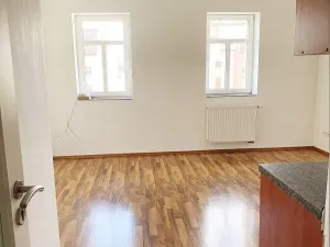 Pronájem bytu 1+kk, Praha - Vysočany, Freyova, 24 m2